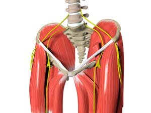 Muscle Strains(Hip)